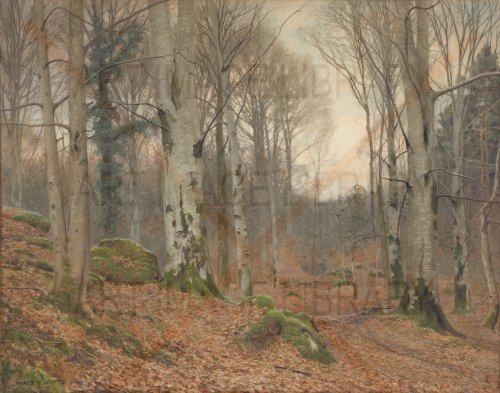 Image no. 4930: A Welsh Wood in Winter (James Thomas Watts), code=H, ord=0, date=1903